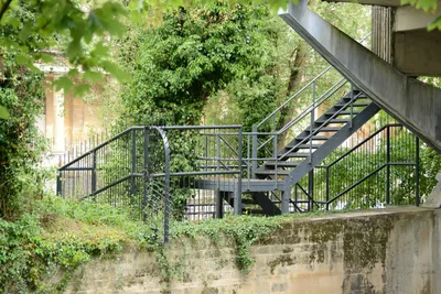 DSC_2583 (Large).JPG